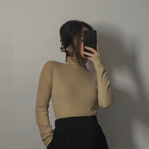 Basic high necked top